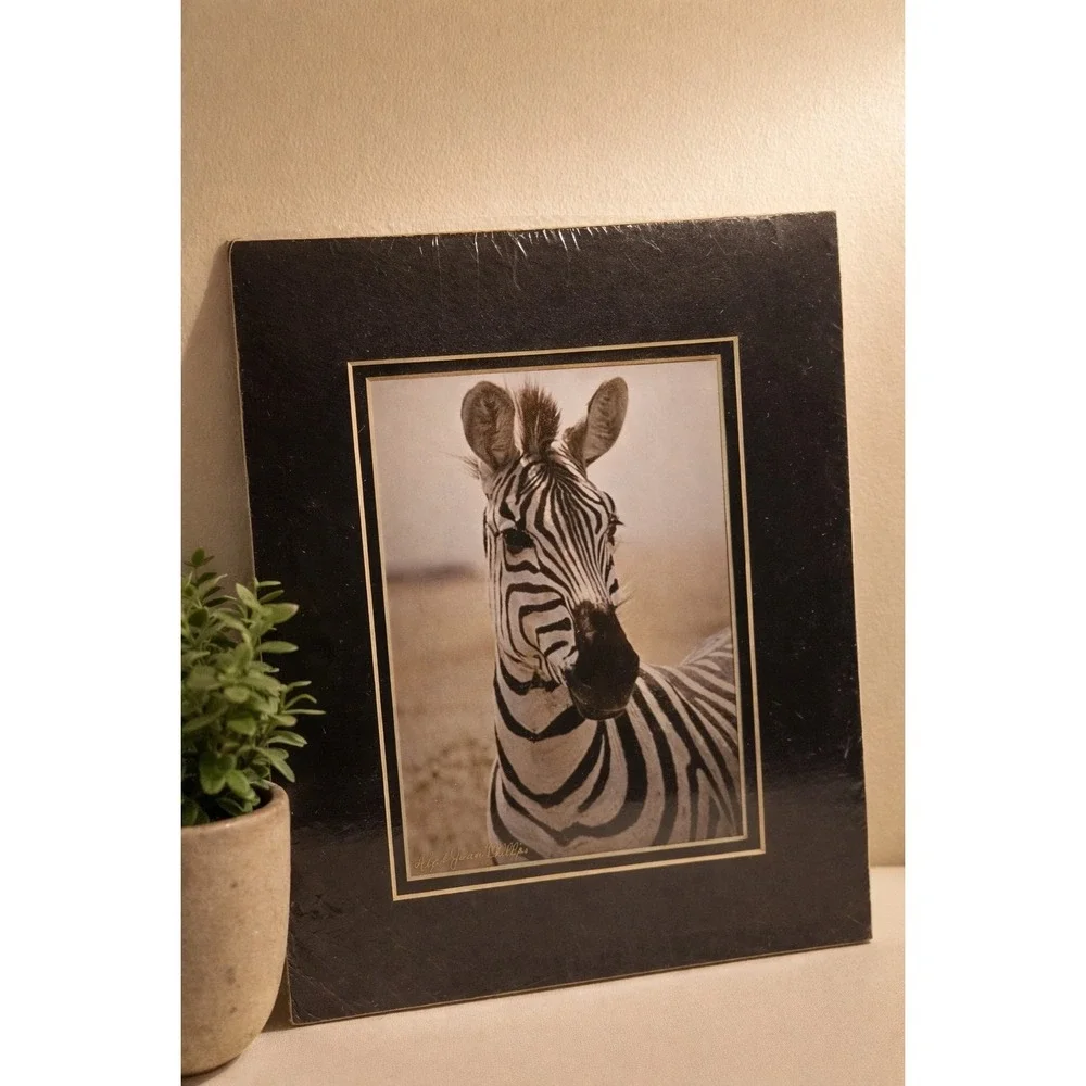 Chicago Vintage 1984 Zebra Safari Photography Sealed Striped Elegance Africa Art - Picture 1 of 11